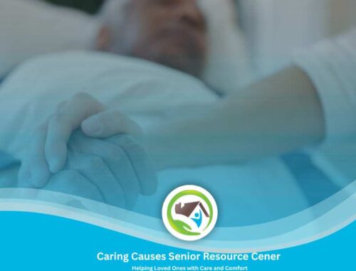 never alone the sacred role of a doula in life’s final chapter